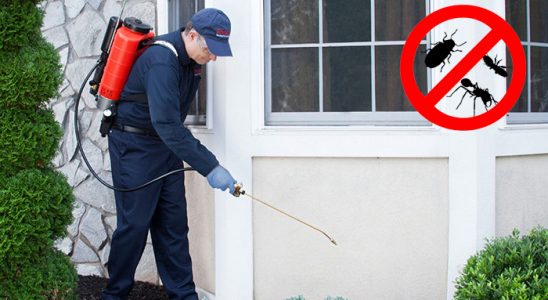 Şişli Gümüşkurt İlaçlama böcek ilaçlama ve haşere kontrolü — ilaclama-tr.com